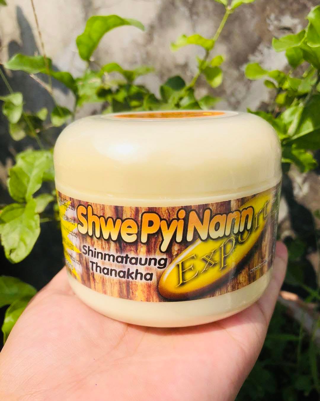 472902499_122159797196307464_3440888786311523494_n